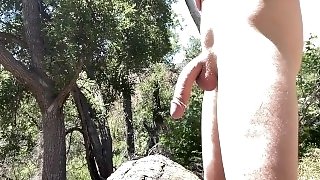 60fps,cougar,hd,nature,solo,